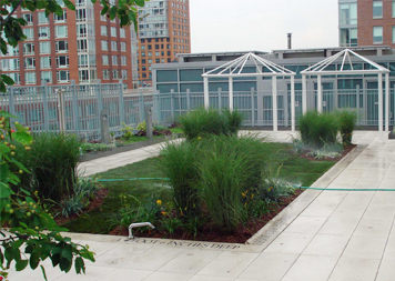Green Roofs & Roof Gardens